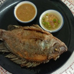 ร้านข้าวปลาแกะ&ห่อหมกทะเลใต้เจ็ดยอด(ก๋วยเตี๋ยวเรือฟ้ามุ่ย) ช้างเผือก