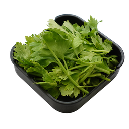 คื่นช่าย