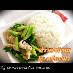 ข้าวราดผัดคะน้า หมู,ไก่,หมูสับ