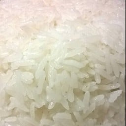 ข้าวหอมมะลิ (ข้าวเปล่า)