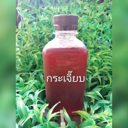 หมูปิ้งโบราณ+กะเพรา เจ๊ฝน  พึ่งมี52