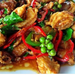 ผัดฉ่าไก่ ราดข้าว