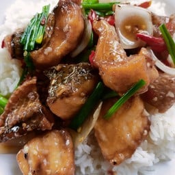 ปลาผัดพริกสดราดข้าว