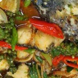 แกงป่าปลาช่อนนา