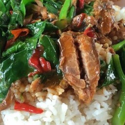 คะน้าปลากระป๋องราดข้าว