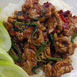 กะเพรา หน้าบ้าน