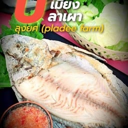[อร่อยซ่ากับโค้ก] เมี่ยงปลาเผา ( ไซส์ XL ) +  โค้ก ไม่มีน้ำตาล (กระป๋อง)