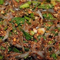 กุ้งโคโยตี้ Byตี๋น้อย (กุ้งเต้นริมราง) ตลาดริมราง