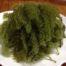 สาหร่ายพวงองุ่น