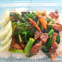 คะน้าหมูกรอบ ราดข้าว