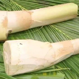 เพิ่ม ยอดมะพร้าว