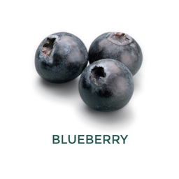 Blueberry topping