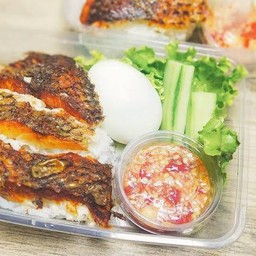 ป้าหนูตามสั่ง