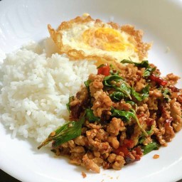 กินมะ(Ginma)/กะเพรา/ข้าวหมูทอด/ยำขนมจีน
