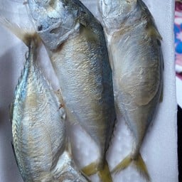 นิจุ๋มปลาทูตลาดเจ้าพรหม