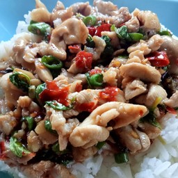 ผัดกระเพราไก่(กับข้าว)