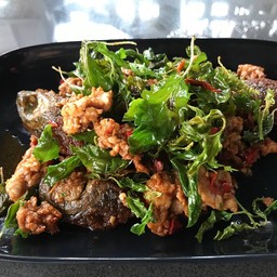 กะเพราไข่เยี่ยวม้า