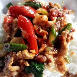 ผัดพริกแกงไก่(กับข้าว)