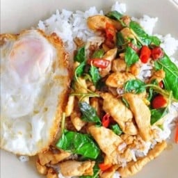 กระเพราไก่ ราดข้าว