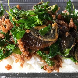 กะเพราไข่เยี่ยวม้าราดข้าว