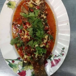 ปลากระพงสามรส(ตัว)