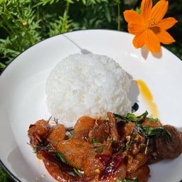 กะเพราไก่ โคตรกะเพรา