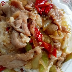 ผัดพริกอ่อนไก่(ราดข้าว)