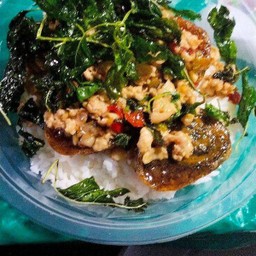 ข้าวกะเพราไก่ไข่เยี่ยวม้า