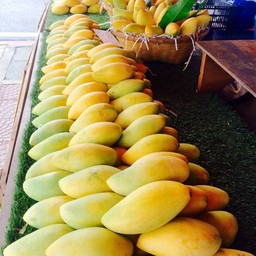 มะม่วงน้ำดอกไม้ 3 ลูก