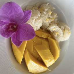 Mango Sticky Rice