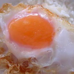 ไข่ดาว