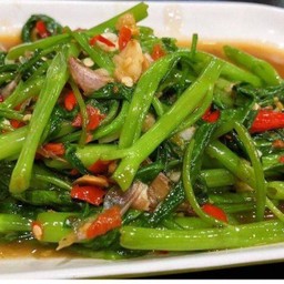 ผักบุ้งไฟแดง