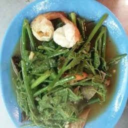 ยอดมะระกุ้ง