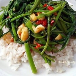 ผัดพักบุ้งไฟแดงราดข้าว