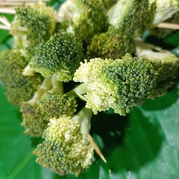 บล๊อกโคลี่