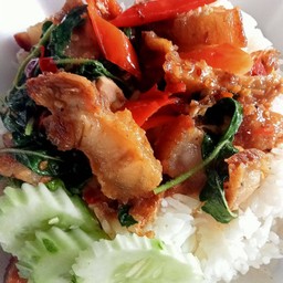 ผัดกระเพราหมูกรอบ(ราดข้าว)