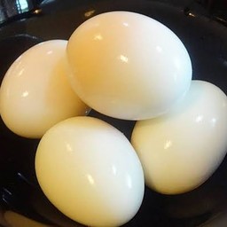 ไข่ไก่ต้ม1ฟอง