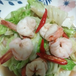 ข้าว + กะหล่ำปลีใส่กุ้ง