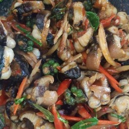 ปลาไหลผัดเเผ็ด