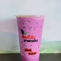 เผือกนมสด