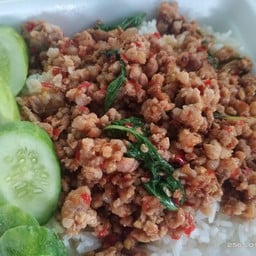 กระเพราหมูสับ