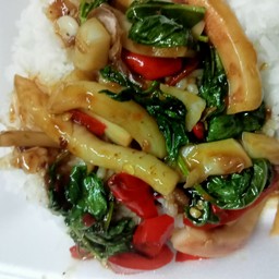 ผัดกระเพราปลาหมึก(กับข้าว)
