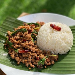ข้าวราดกะเพราพริกแห้ง หมูสับ