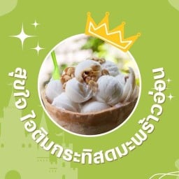 สุขใจ ไอติมกะทิสดสูตรโบราณ (อร่อยสุด สมุทรสาคร)