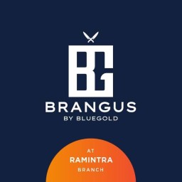 Brangus by bluegold Ramintra