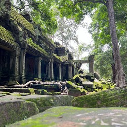 Ta Prohm Temple