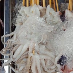 หมึกย่างบ้านสวน(บ่อดิน)