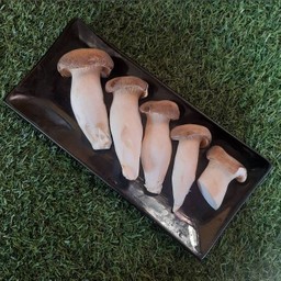 เห็ดออรินจิ หม่าล่า