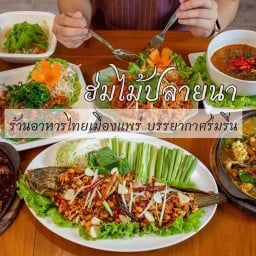 ฮ่มไม้ปลายนา