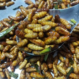 หนอนไหมทอด ทอดใหม่ทุกออเดอร์